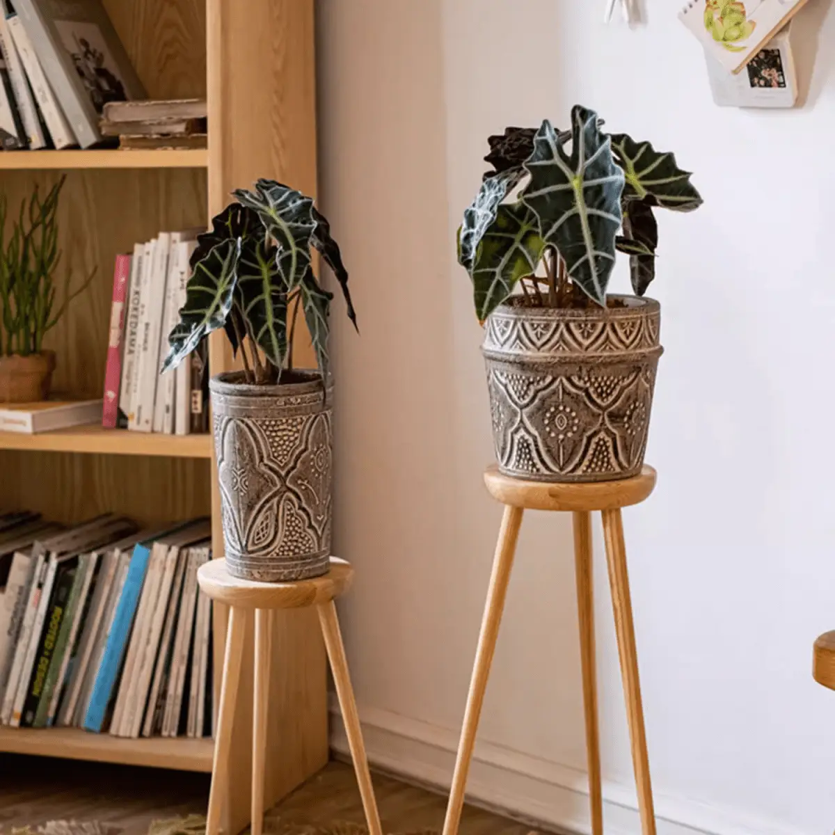 Classic Element Art Planter Clay Flowerpot by RusticReach