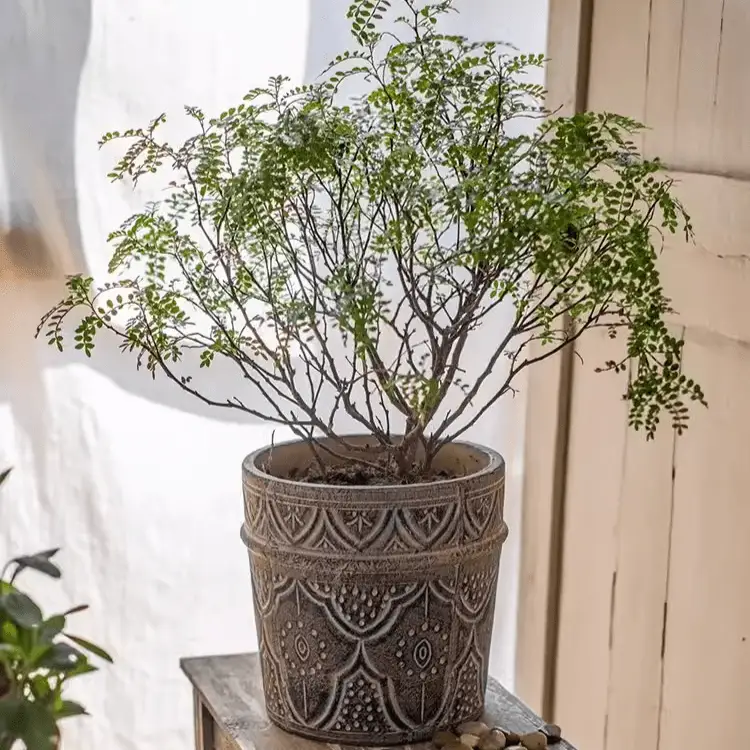 Classic Element Art Planter Clay Flowerpot by RusticReach