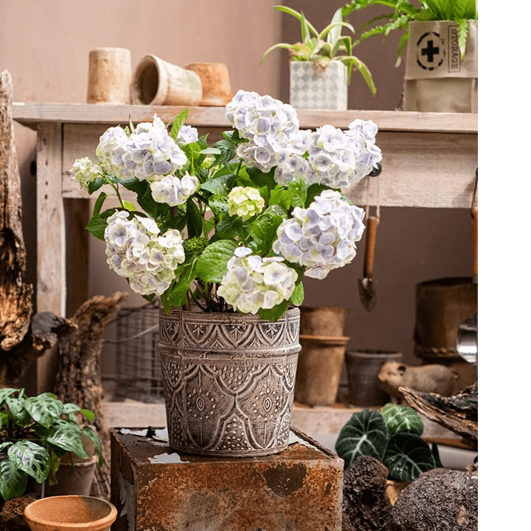 Classic Element Art Planter Clay Flowerpot by RusticReach