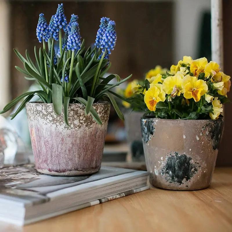 Colorful Terracotta Pot by RusticReach