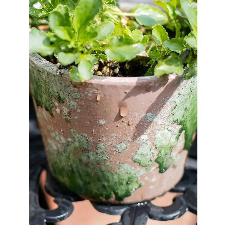 Colorful Terracotta Pot by RusticReach