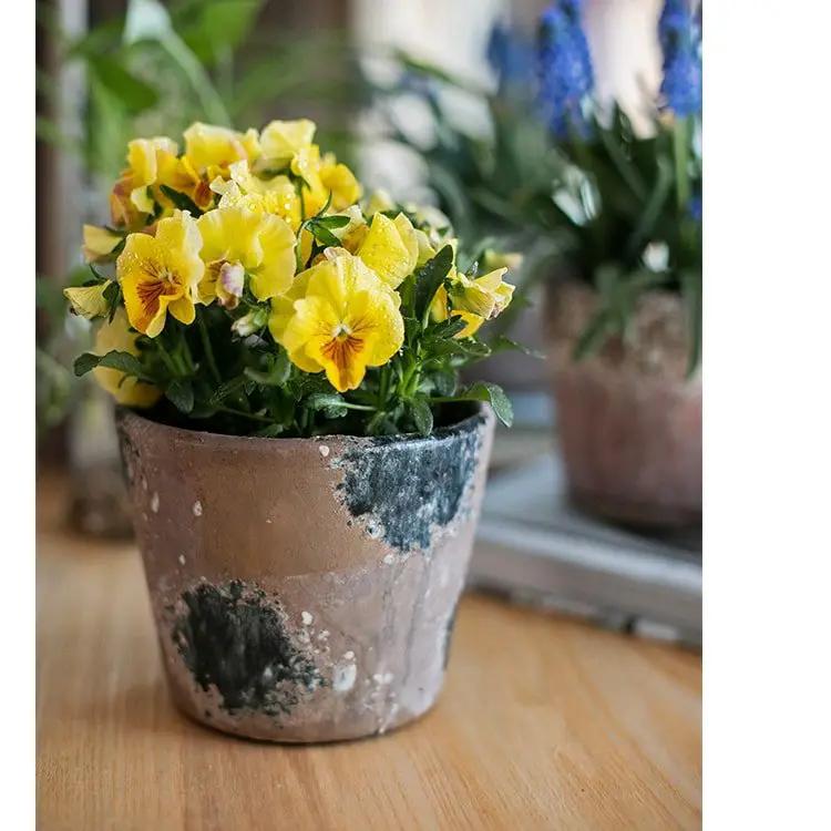 Colorful Terracotta Pot by RusticReach