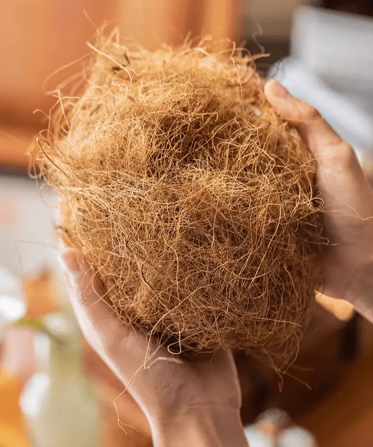 Coconut Fiber Pot Soil Surface Decoration Padding Material Set of 3 by RusticReach