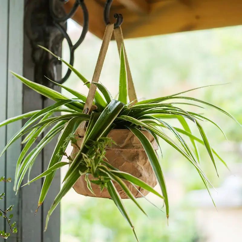 Craft Paper Bag Style Concrete Hanging Pot by RusticReach