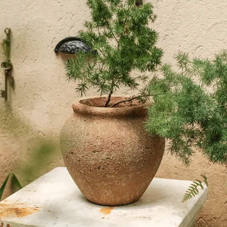 Distressed Cement Plant Pot by RusticReach