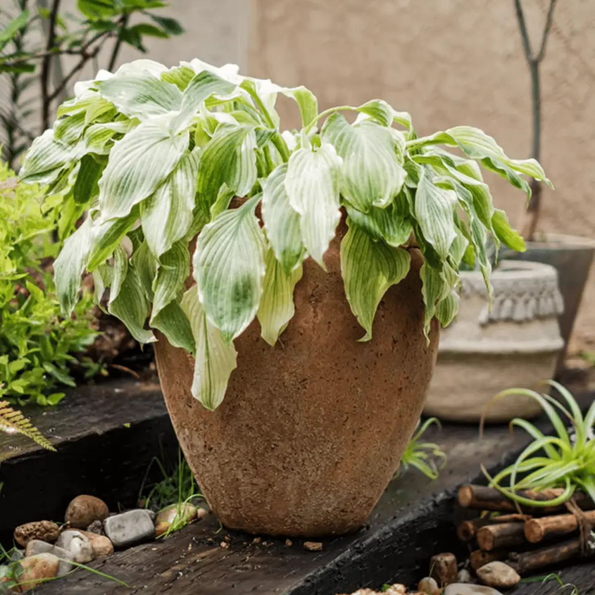 Distressed Cement Plant Pot by RusticReach
