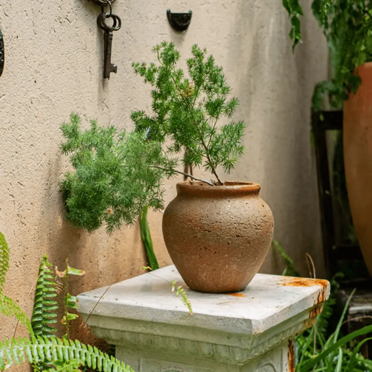 Distressed Cement Plant Pot by RusticReach