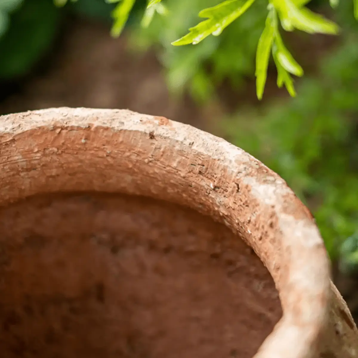 Distressed Cement Plant Pot by RusticReach