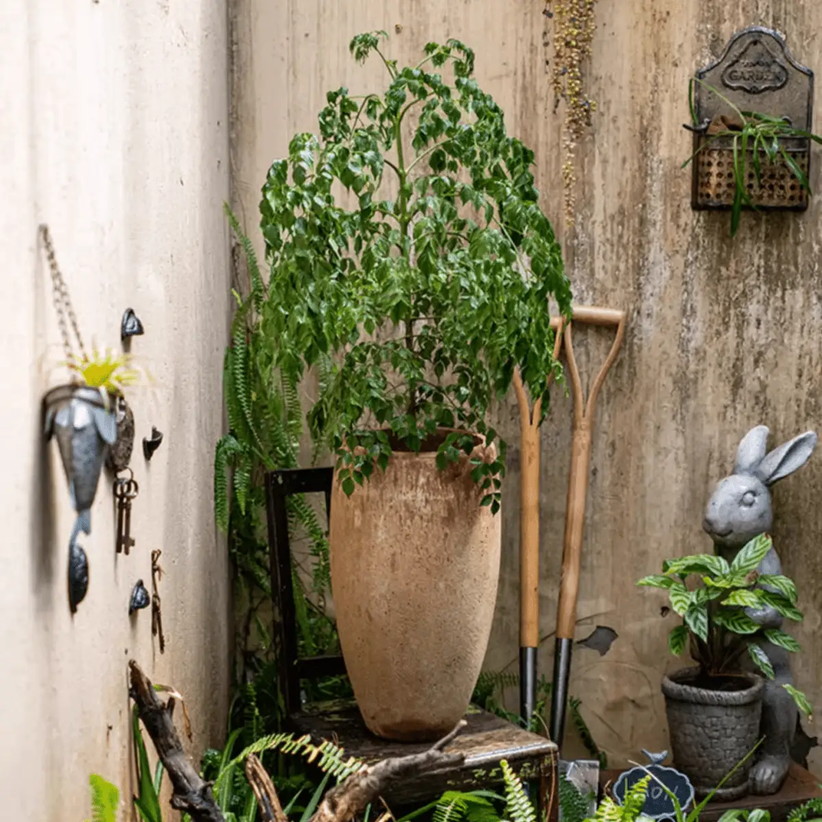 Distressed Cement Plant Pot Tall by RusticReach