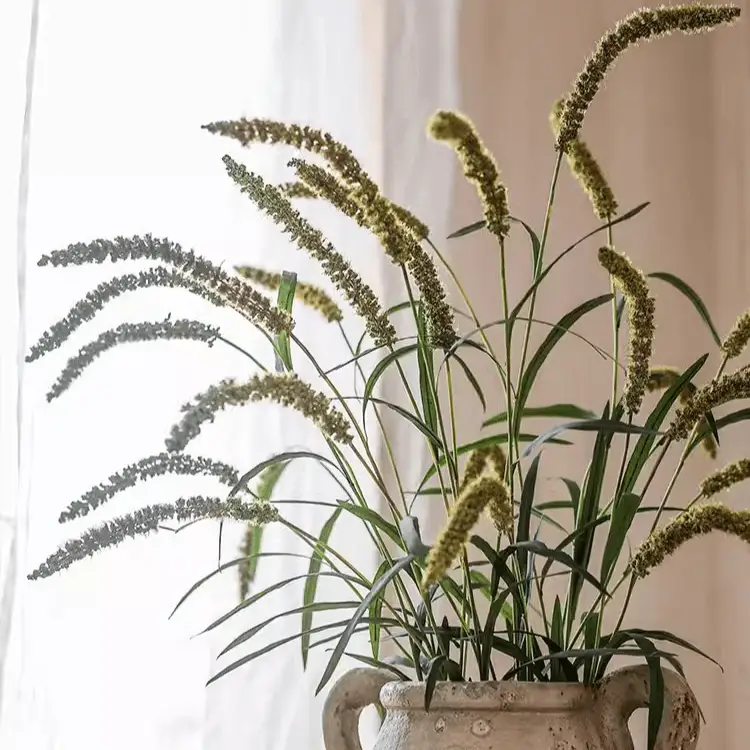 Three-Headed Dogtail Grass Stem 39" Tall by RusticReach