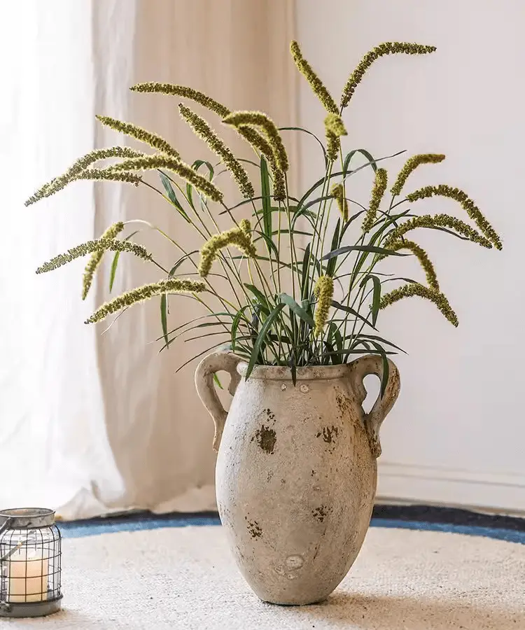 Three-Headed Dogtail Grass Stem 39" Tall by RusticReach