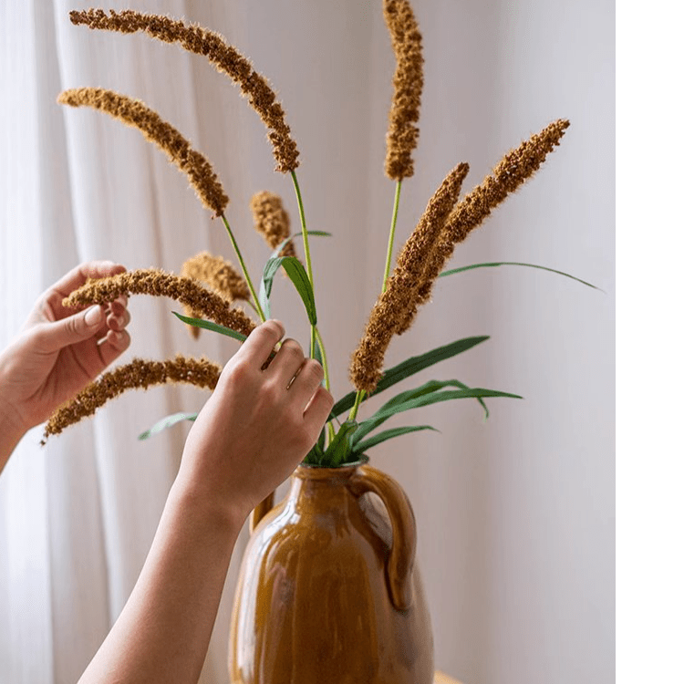 Three-Headed Dogtail Grass Stem 39" Tall by RusticReach