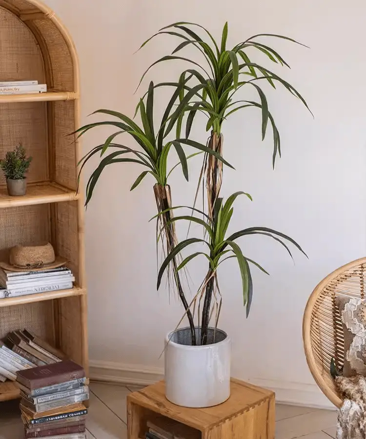 Artificial Dracaena Tree by RusticReach