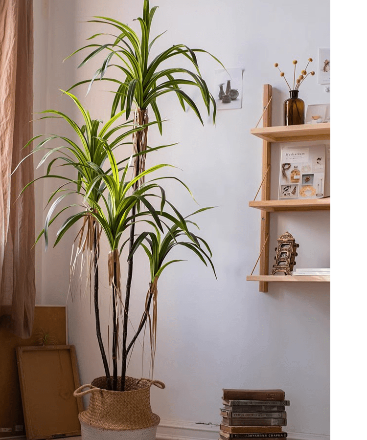 Artificial Dracaena Tree by RusticReach