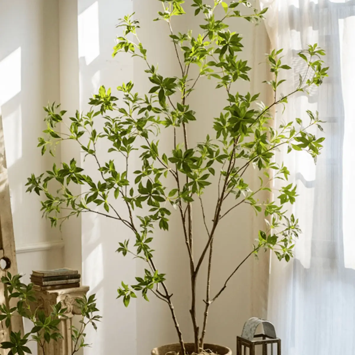 Artificial Japanese Enkianthus Tree Faux by RusticReach