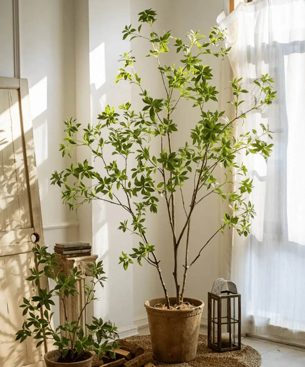 Artificial Japanese Enkianthus Tree Faux by RusticReach