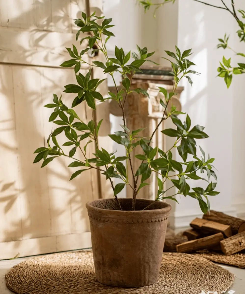 Artificial Japanese Enkianthus Tree Faux by RusticReach