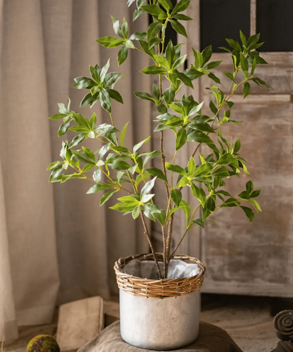 Artificial Japanese Enkianthus Tree Faux by RusticReach