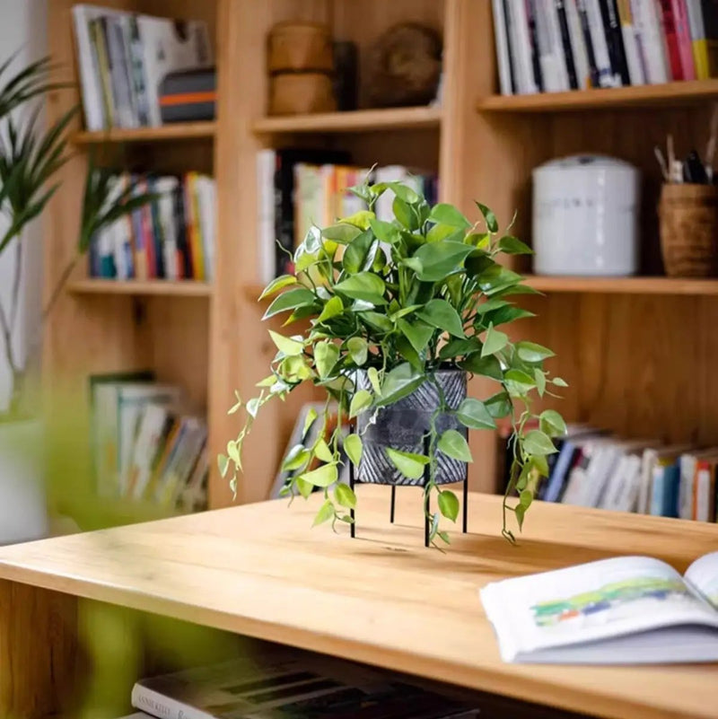 Faux Epipremnum in Metal Pot by RusticReach