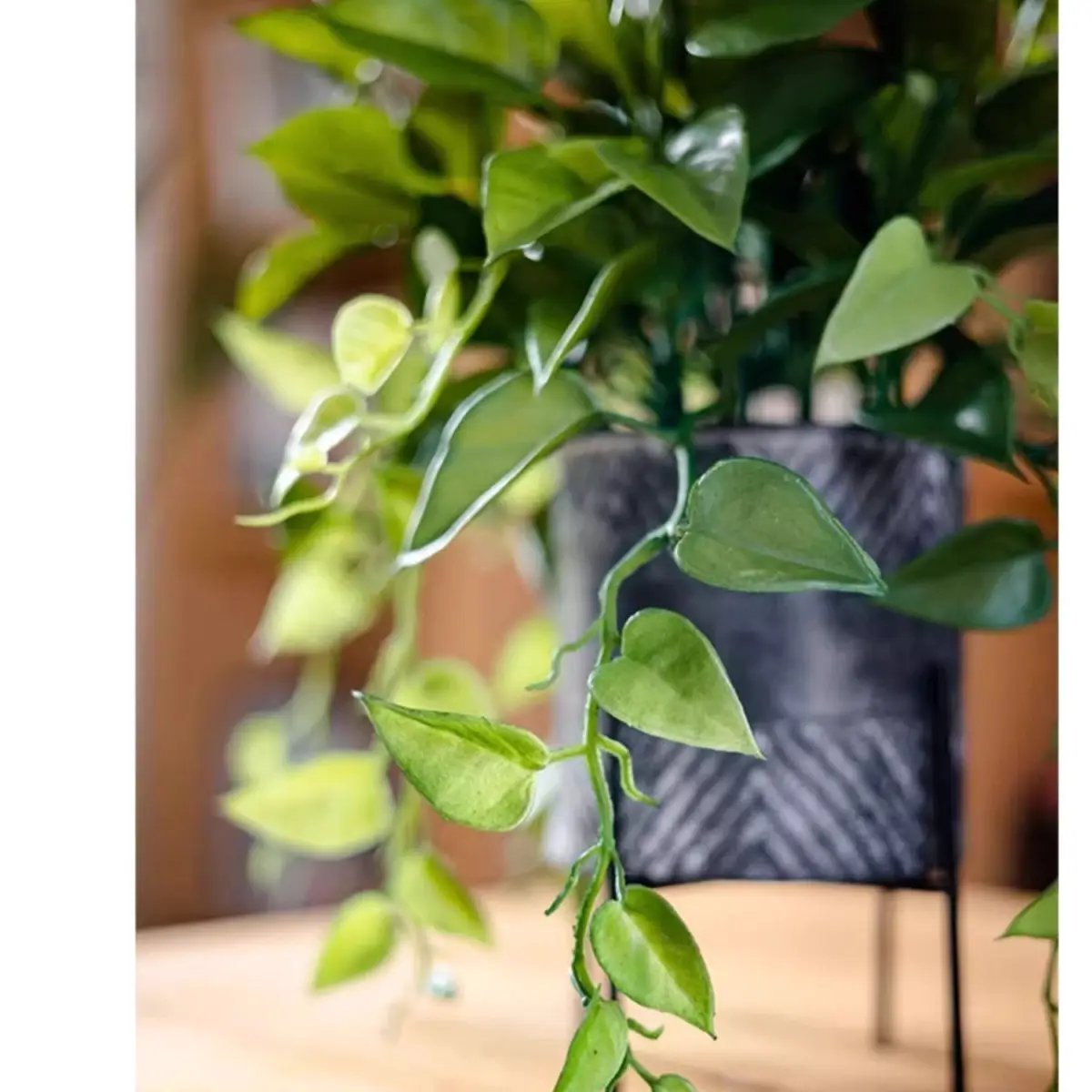 Faux Epipremnum in Metal Pot by RusticReach