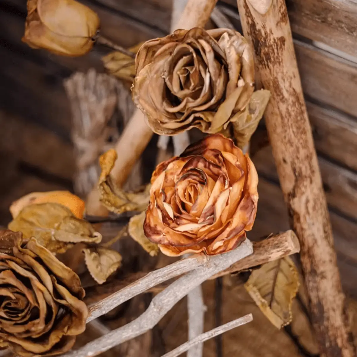 French Dried Look Faux Rose Stem 26" Tall by RusticReach