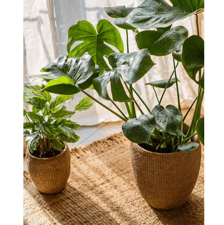 Faux Grass-Woven Cement Planter by RusticReach