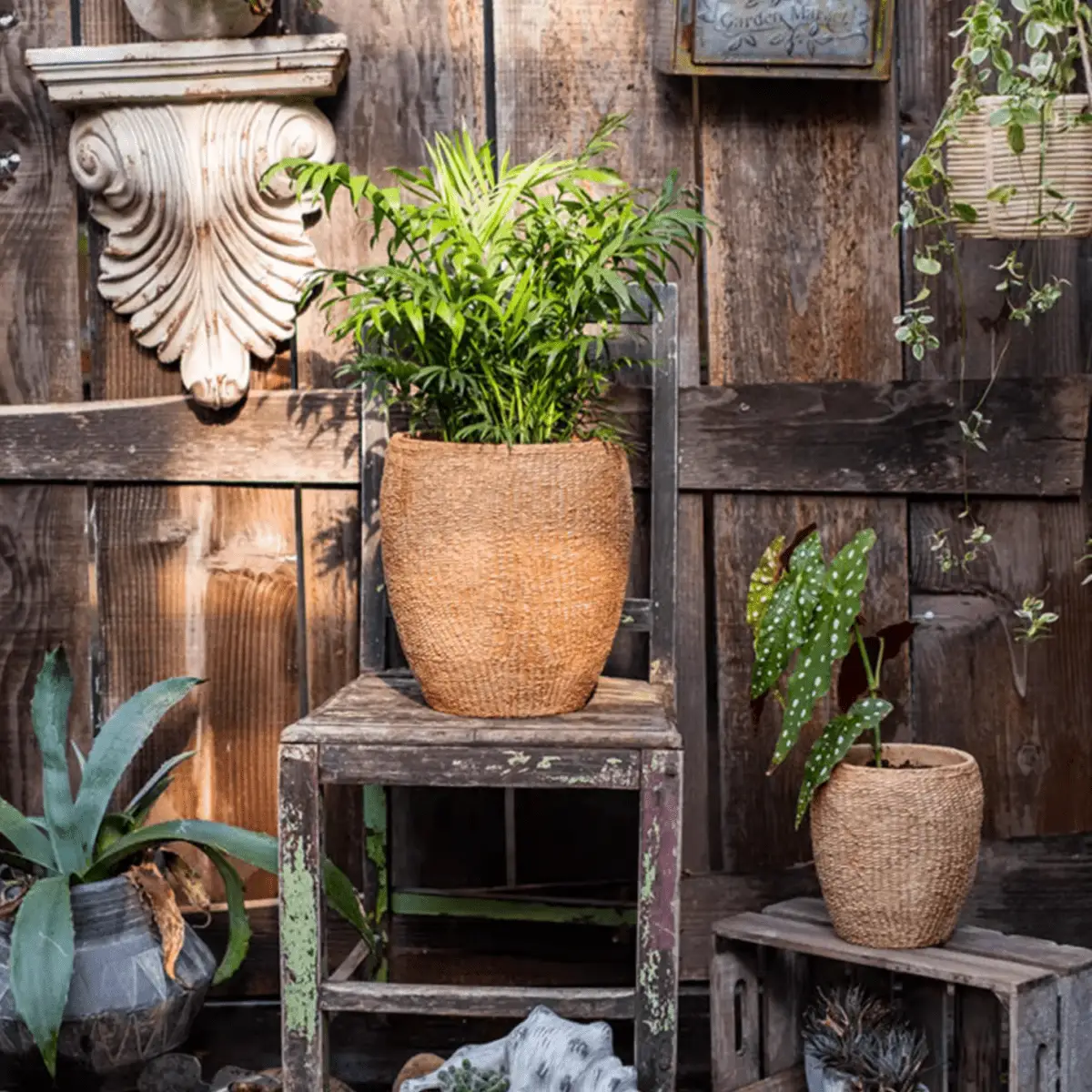 Faux Grass-Woven Cement Planter by RusticReach