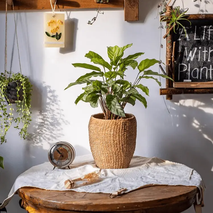 Faux Grass-Woven Cement Planter by RusticReach