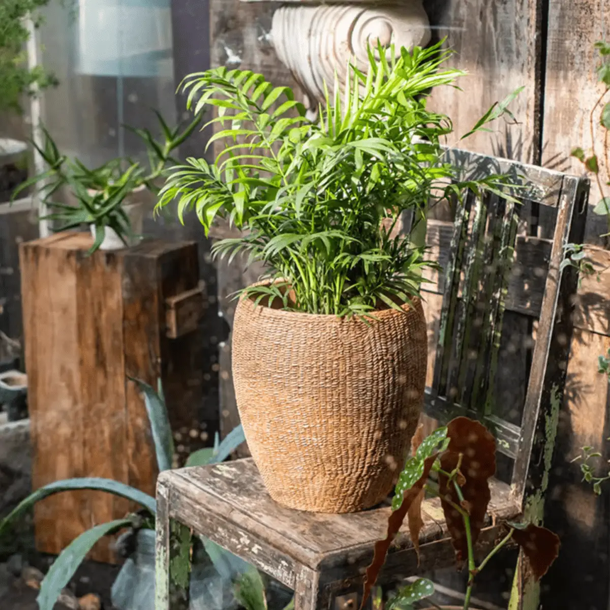 Faux Grass-Woven Cement Planter by RusticReach