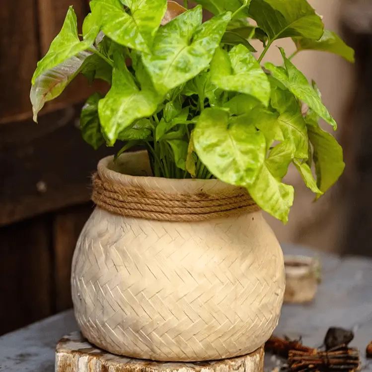 Faux Bamboo Woven Cement Planter by RusticReach