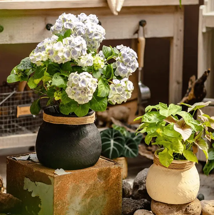 Faux Bamboo Woven Cement Planter by RusticReach