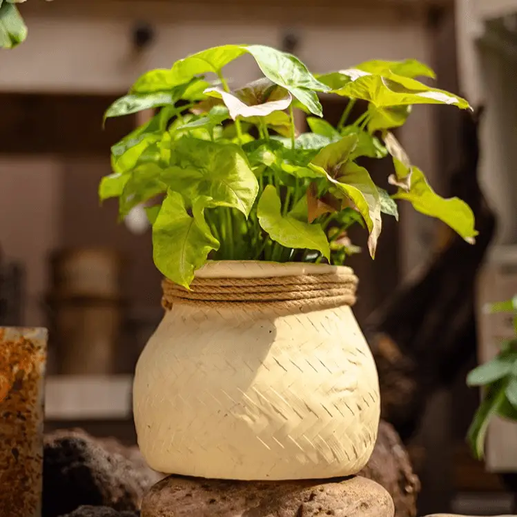 Faux Bamboo Woven Cement Planter by RusticReach