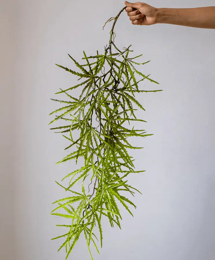 Artificial Ferns Vine Stem 39" Long by RusticReach