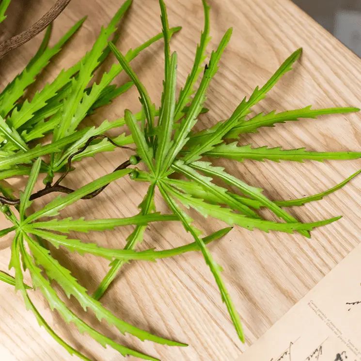 Artificial Ferns Vine Stem 39" Long by RusticReach