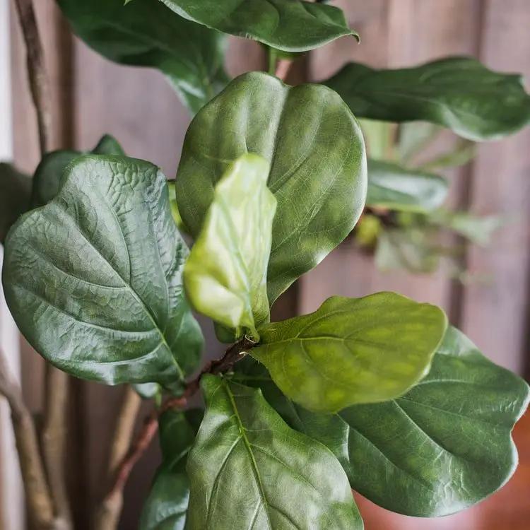 Artificial Tree Fiddle Leaf Tree In Pot by RusticReach