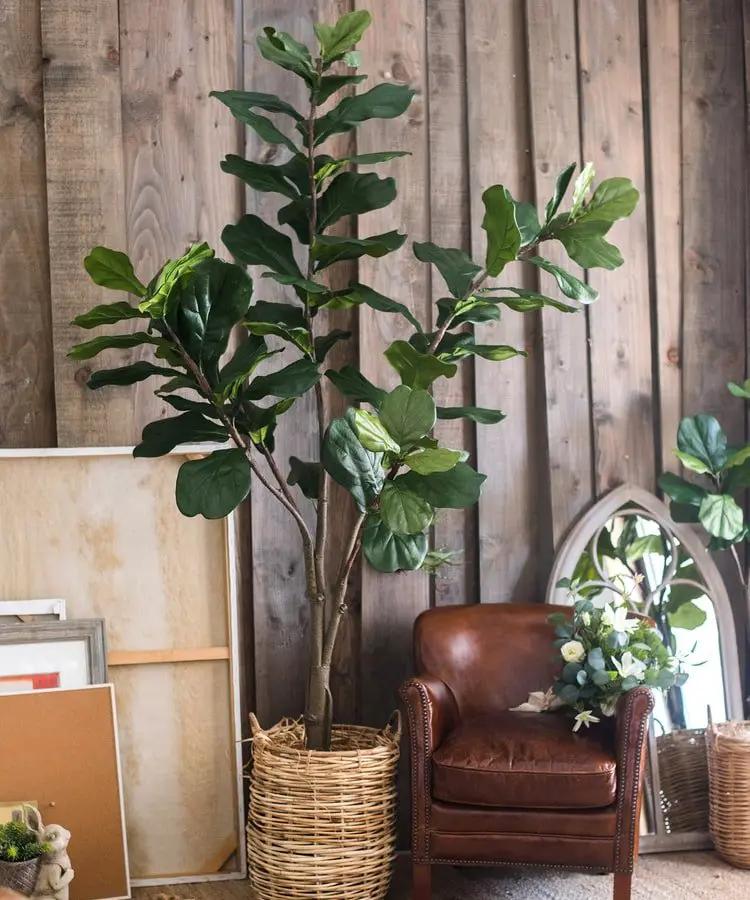 Artificial Tree Fiddle Leaf Tree In Pot by RusticReach