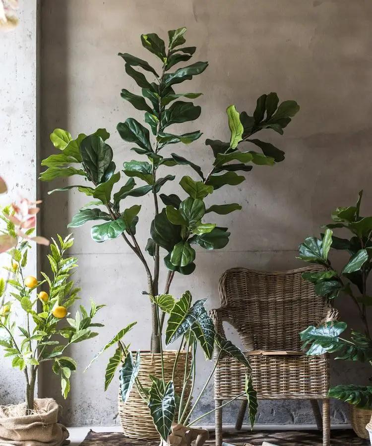 Artificial Tree Fiddle Leaf Tree In Pot by RusticReach