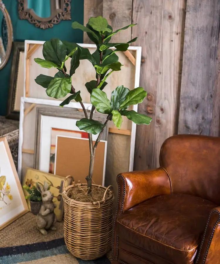 Artificial Tree Fiddle Leaf Tree In Pot by RusticReach