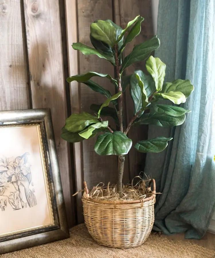 Artificial Tree Fiddle Leaf Tree In Pot by RusticReach