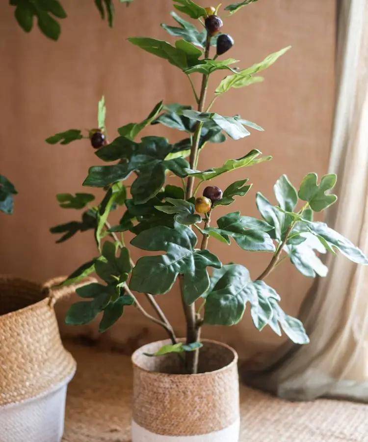 Artificial Silk Fig Tree In Pot by RusticReach