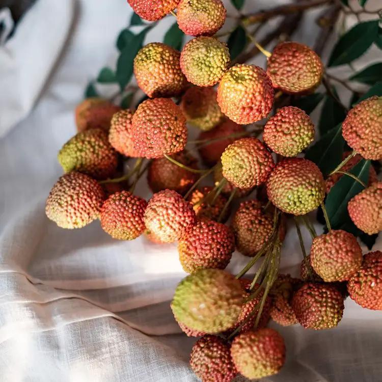 Artificial Fruit Lychee Stem 27" Tall Silk Plant by RusticReach