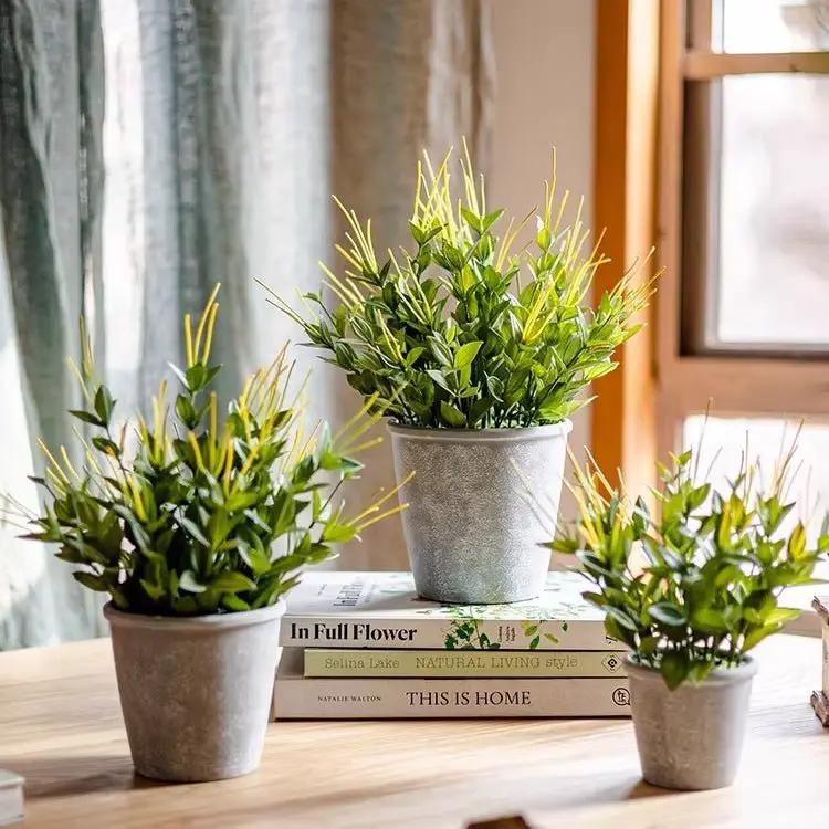 Golden Needle Potted Plant by RusticReach