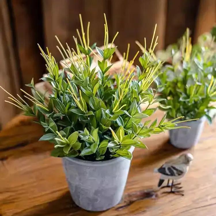 Golden Needle Potted Plant by RusticReach