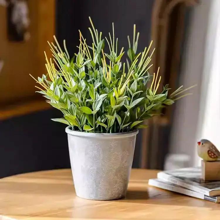 Golden Needle Potted Plant by RusticReach