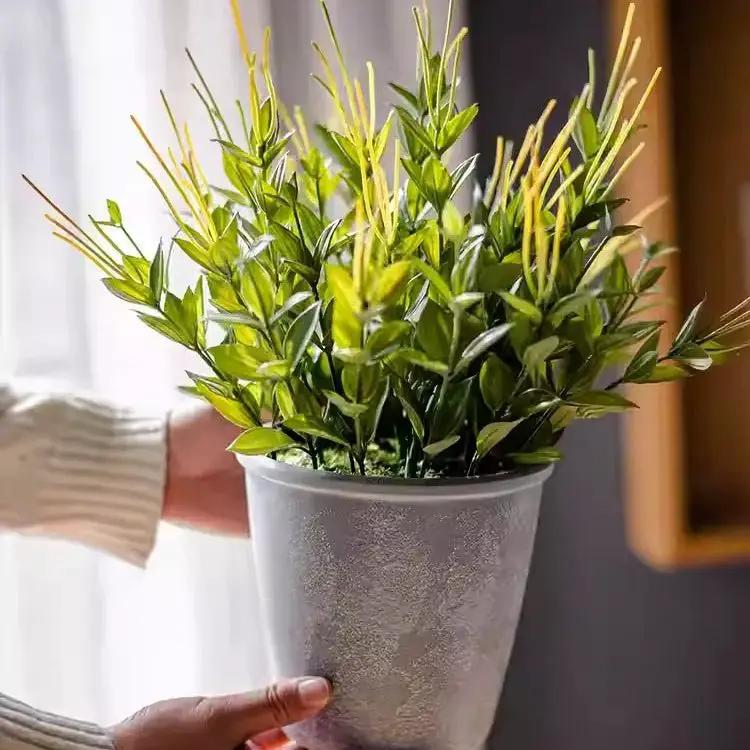 Golden Needle Potted Plant by RusticReach