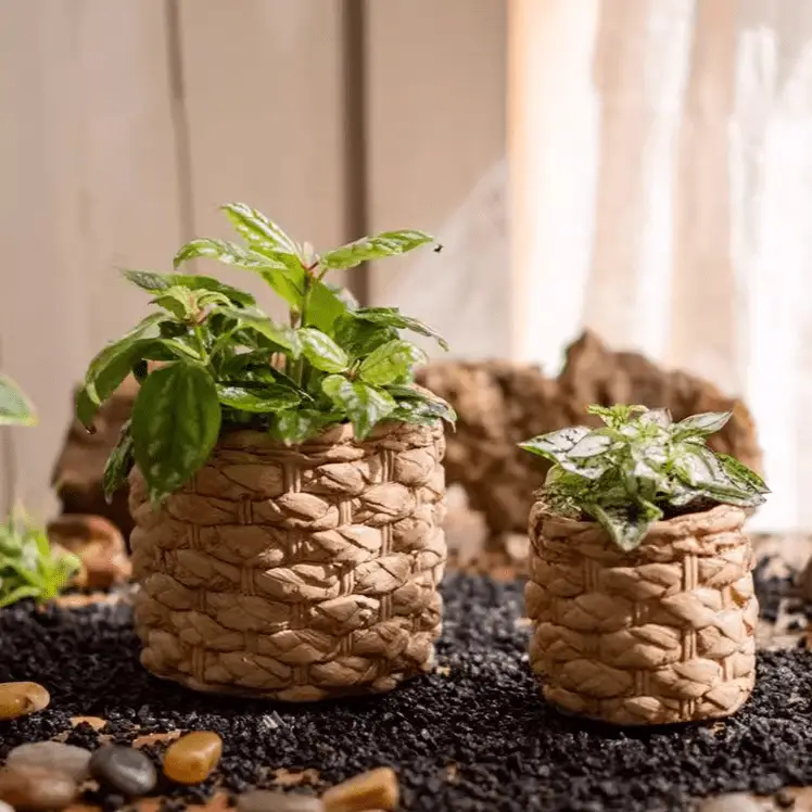 Grass Woven Looking Cement Planter by RusticReach