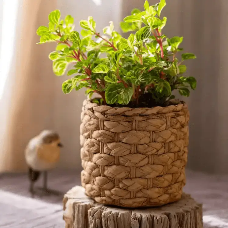 Grass Woven Looking Cement Planter by RusticReach