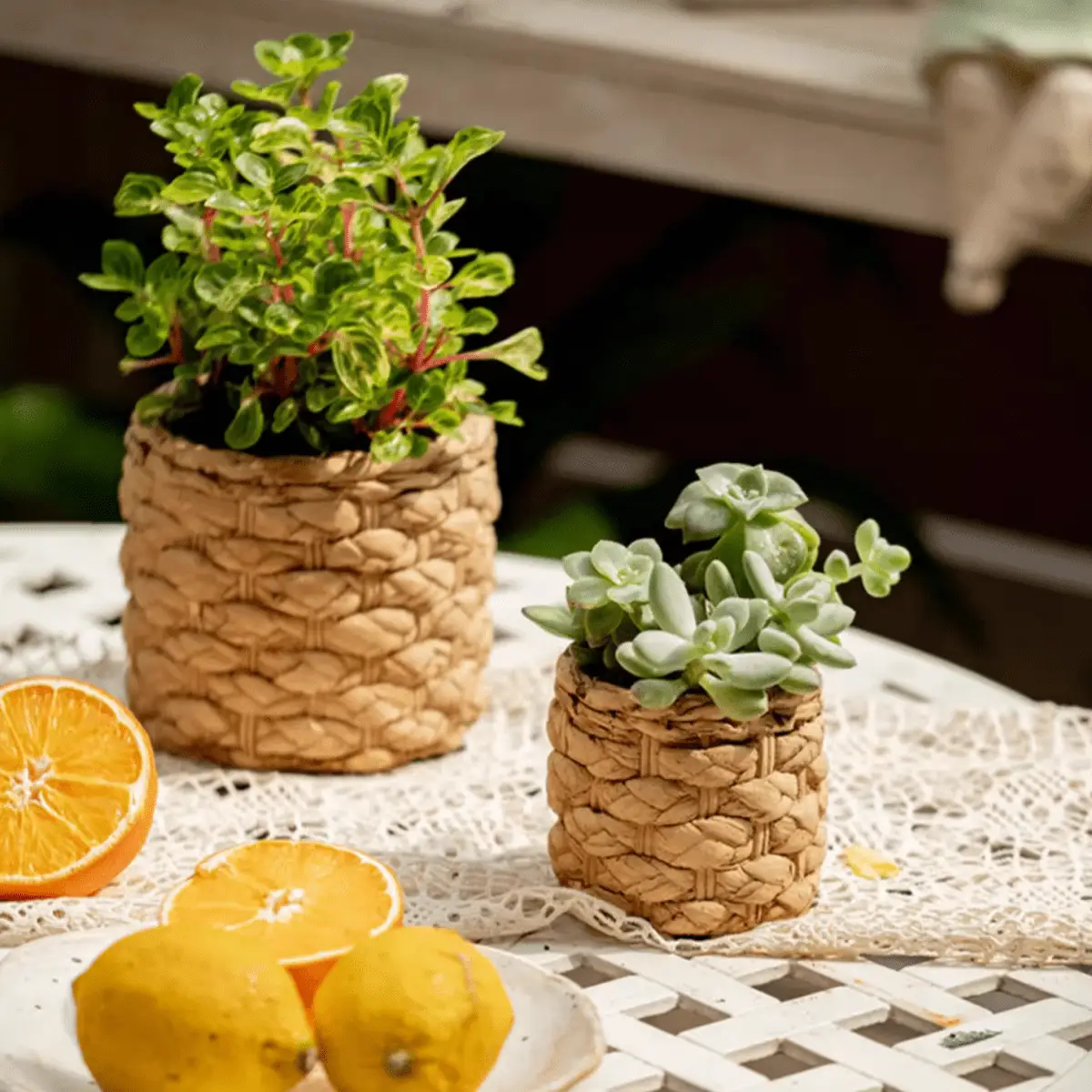Grass Woven Looking Cement Planter by RusticReach
