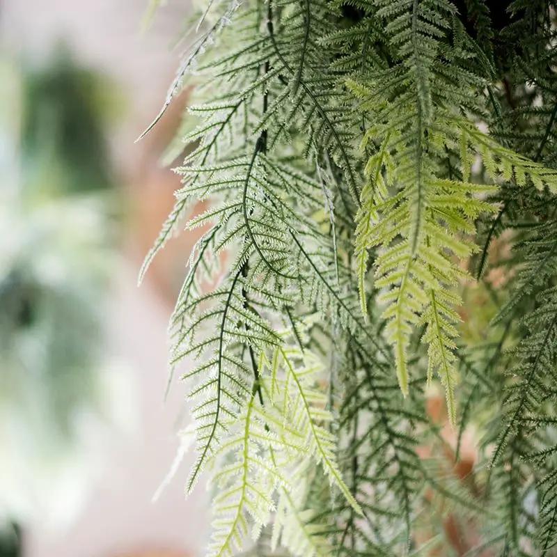 Faux Artificial Asparagus Setaceus Hanging Fern Plant by RusticReach