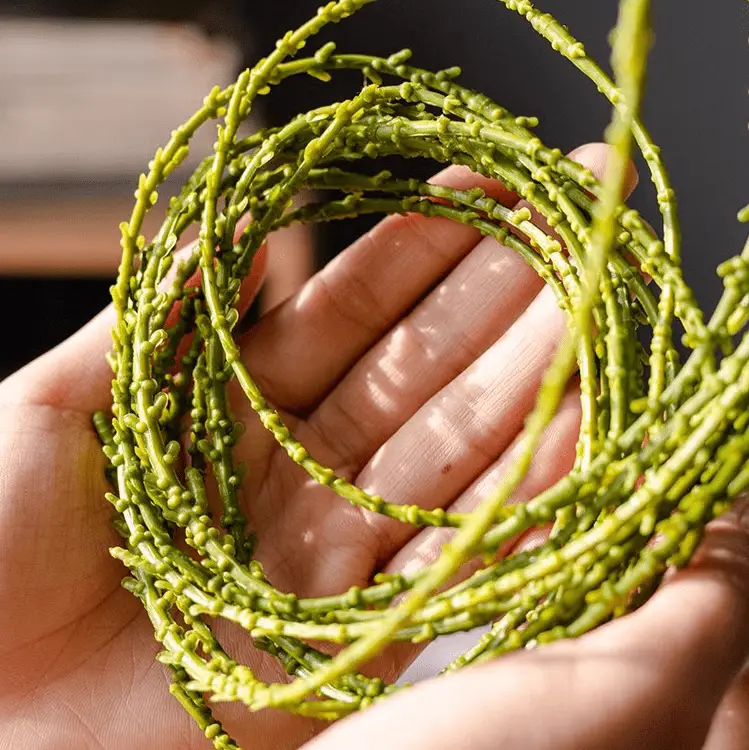 Artificial Vine Hanging Thin Succulent Stem by RusticReach